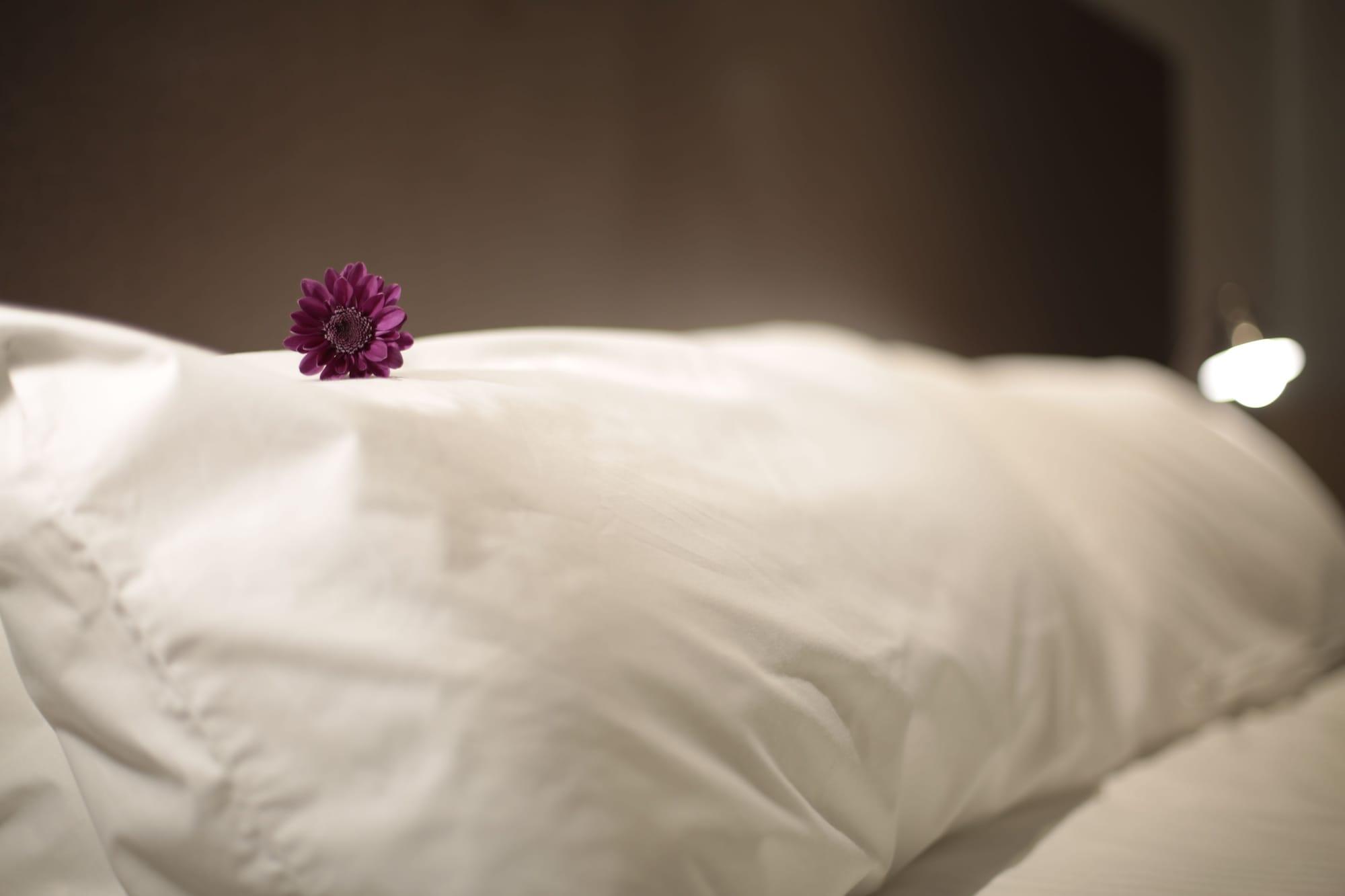 Unit Santa Rosa Hotel Екстериор снимка